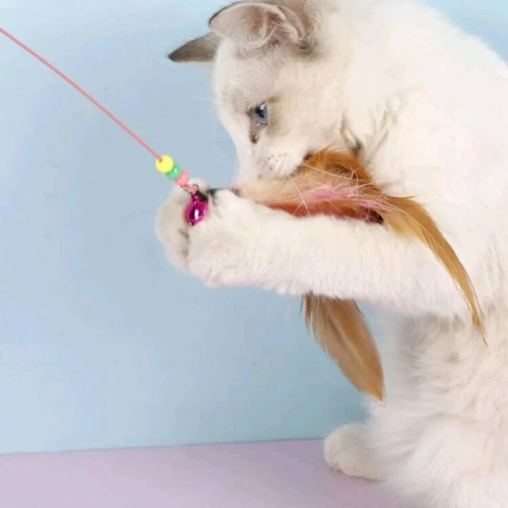 Cat Themed Mystery Fun Box Up to 5lbs - Picture 5 of 12